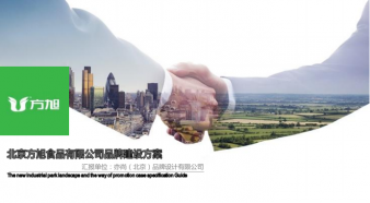 方旭食品品牌构建方案