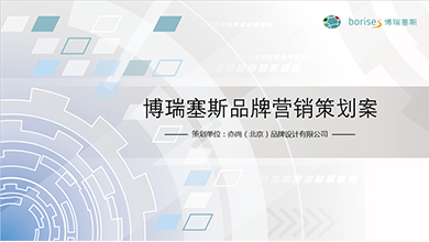 博瑞塞斯营销策划案