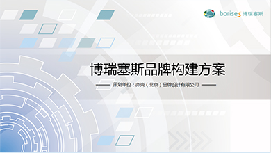 博瑞塞斯品牌构建案